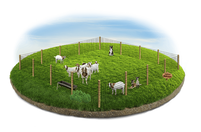 farm fence company in the Southern New Hampshire area.